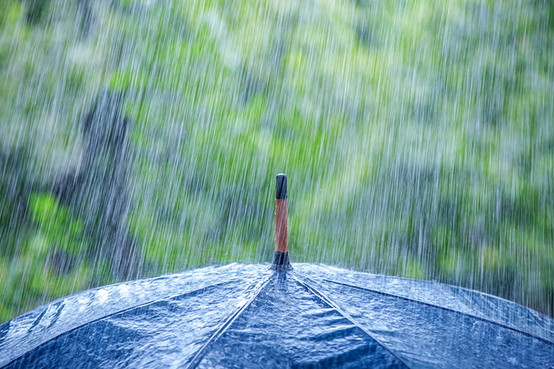 Exposures Umbrella Insurance Can Protect You From