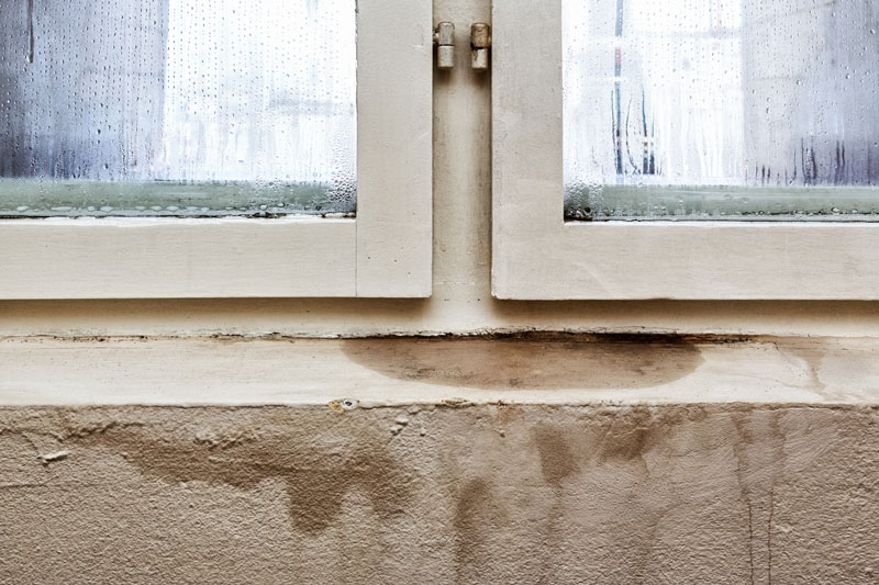 Remove Mold and Mildew From Your Home