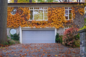 Fall Home Maintenance Tips