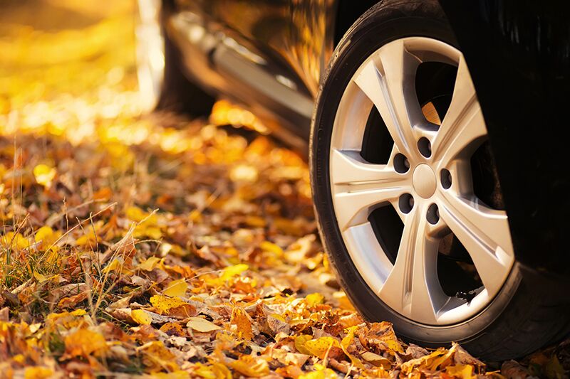 Is Your Auto Insurance Updated for Fall?